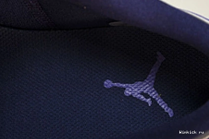 J Sky 1 Low Jordan Purple 0809